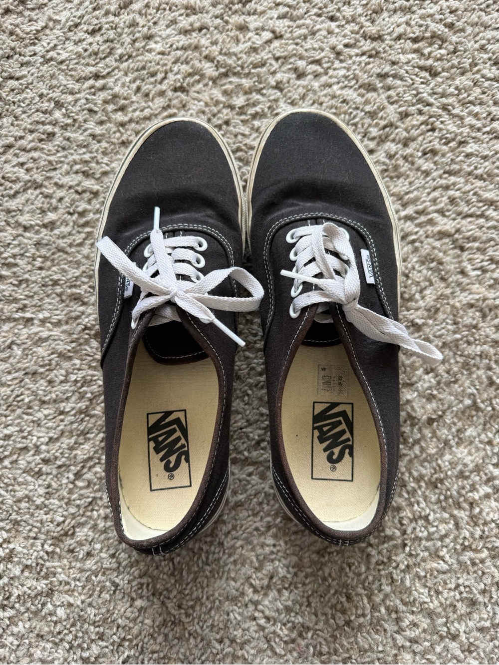 Vans Black Canvas Low-Top Sneakers with White Laces